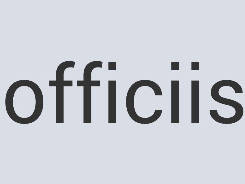 Heavy Duty Linen Healthy Stance