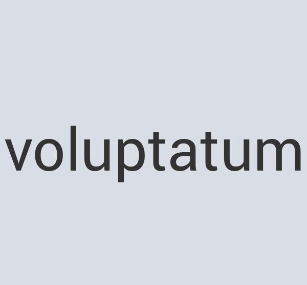 Rustic Aluminum Mr. Scoopy