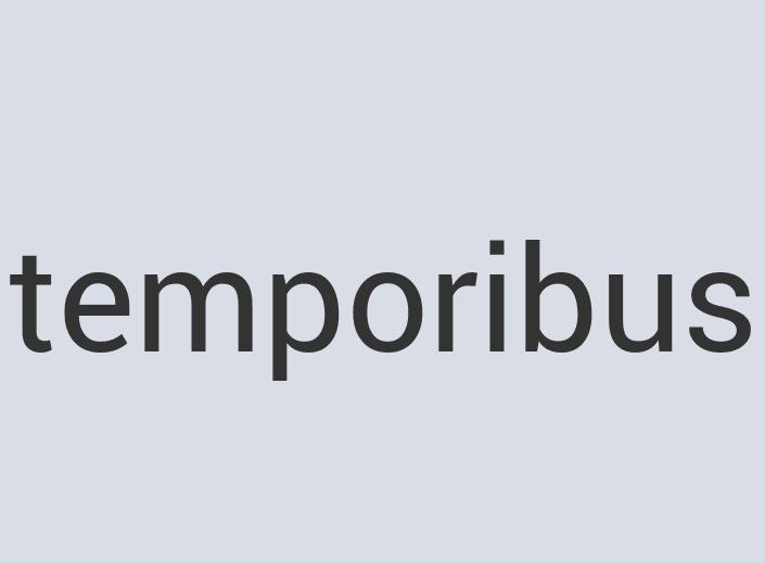 Lightweight Rubber Fried Fruit