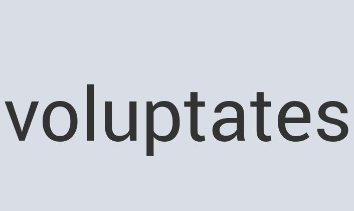 Aerodynamic Leather DecodeIT