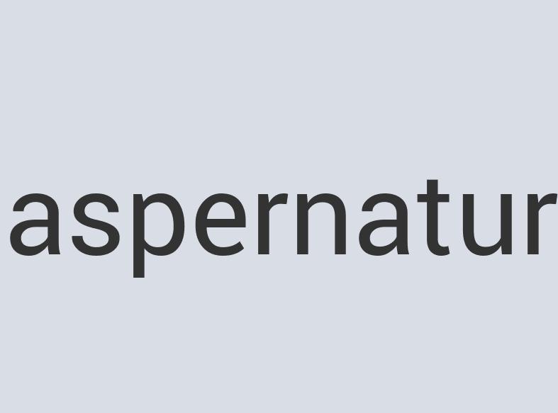 Mediocre Wool Pork Chopsticks